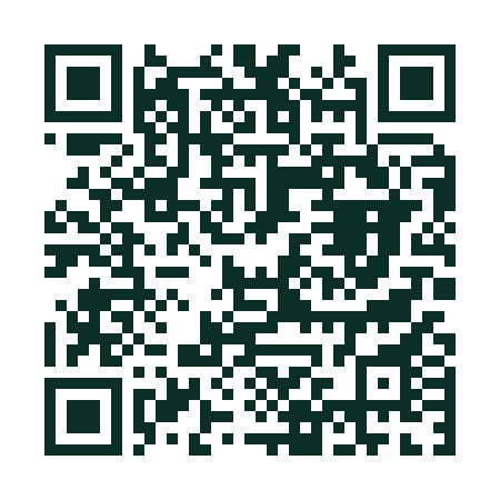 QR-код: MAX